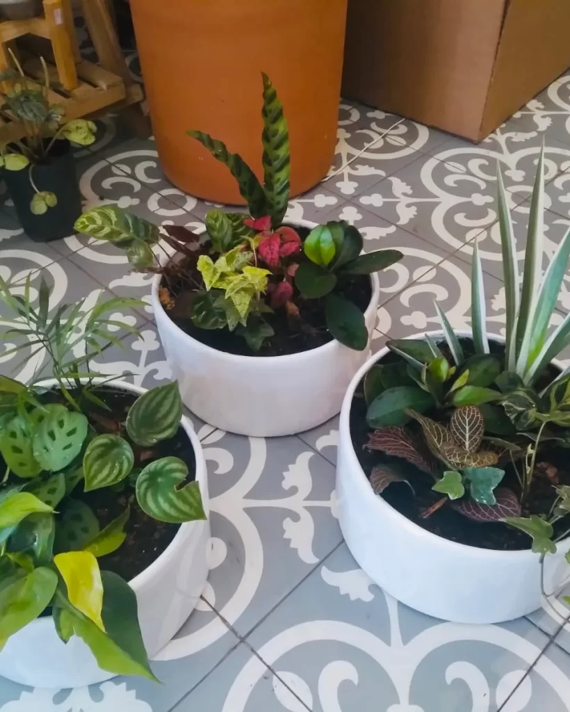 c991a3c0-c2f6-4eac-b8fd-f134aa25b49d